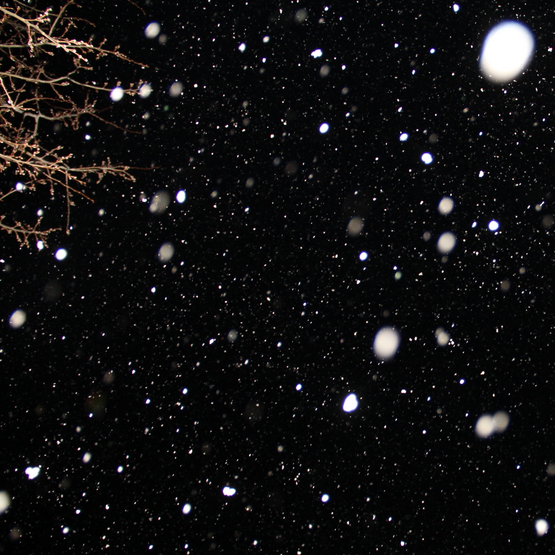 snow falling