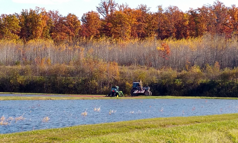 Tractors at Meadowbrook Family Farm