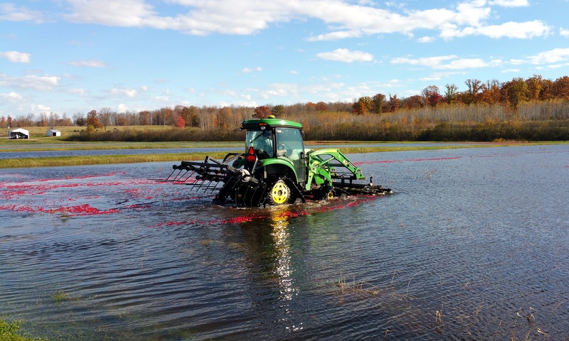 Harvest at Meadowbrook Family Farms