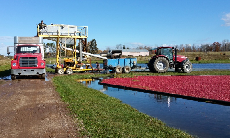 Harvest at Meadowbrook Family Farms