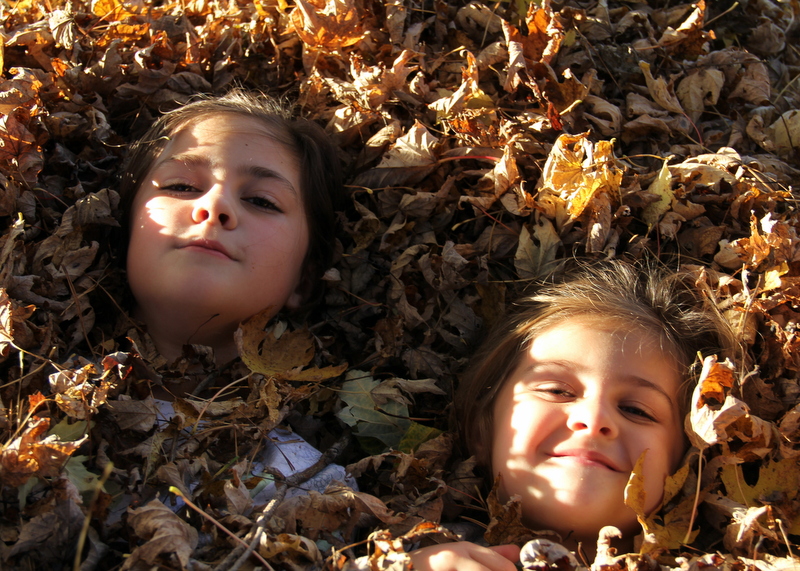 Buried in Leaves