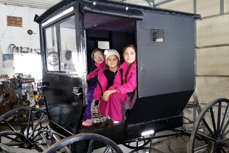 little girls in Amish buggy