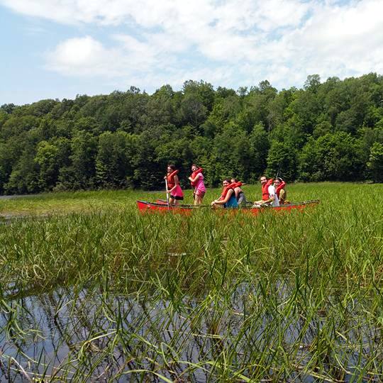 ccc canoe weeds