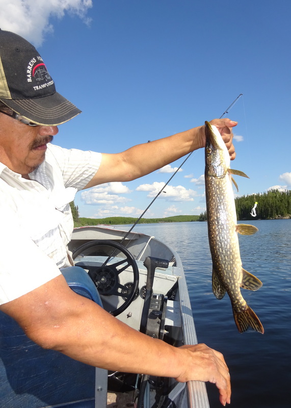 For the record, I did catch fish. Too bad they were all small jackfish, good only to throw back into the water to grow some more. No one around here will eat the small pike because they are too bony.