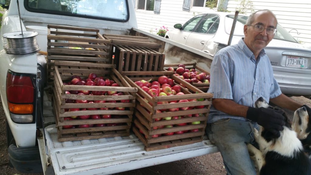 dad with crates of apples