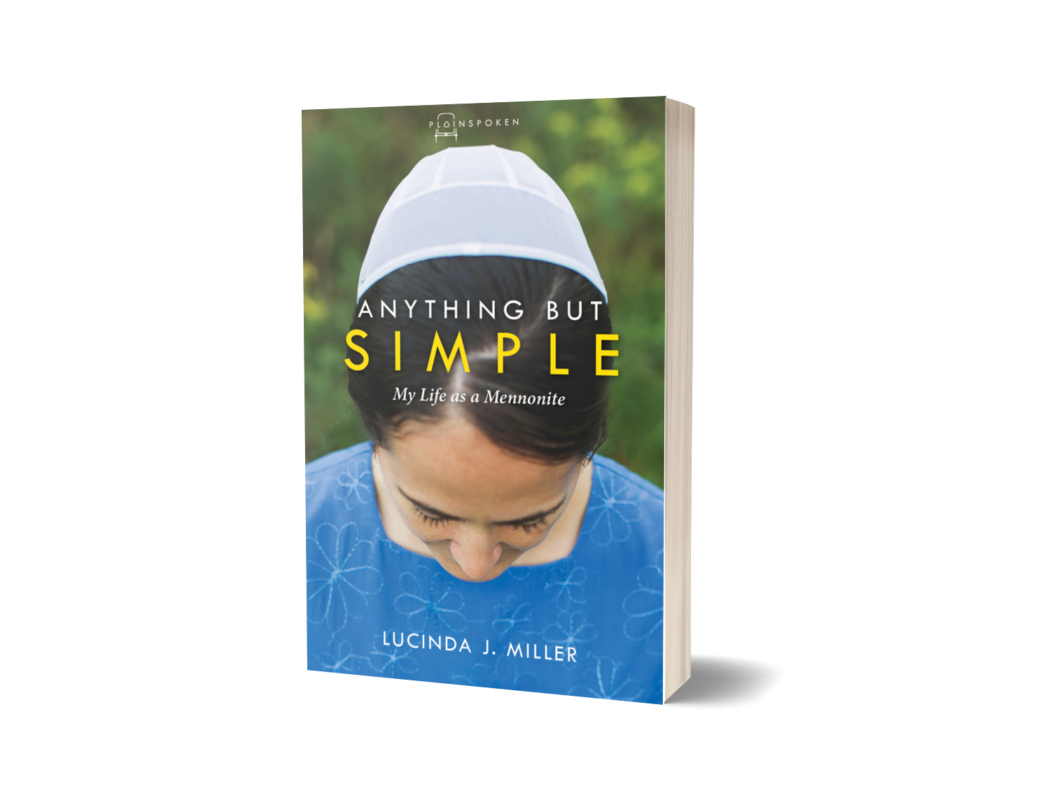 Anything But Simple book cover